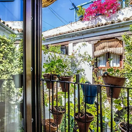 Con Patio Cordobés En San Basilio